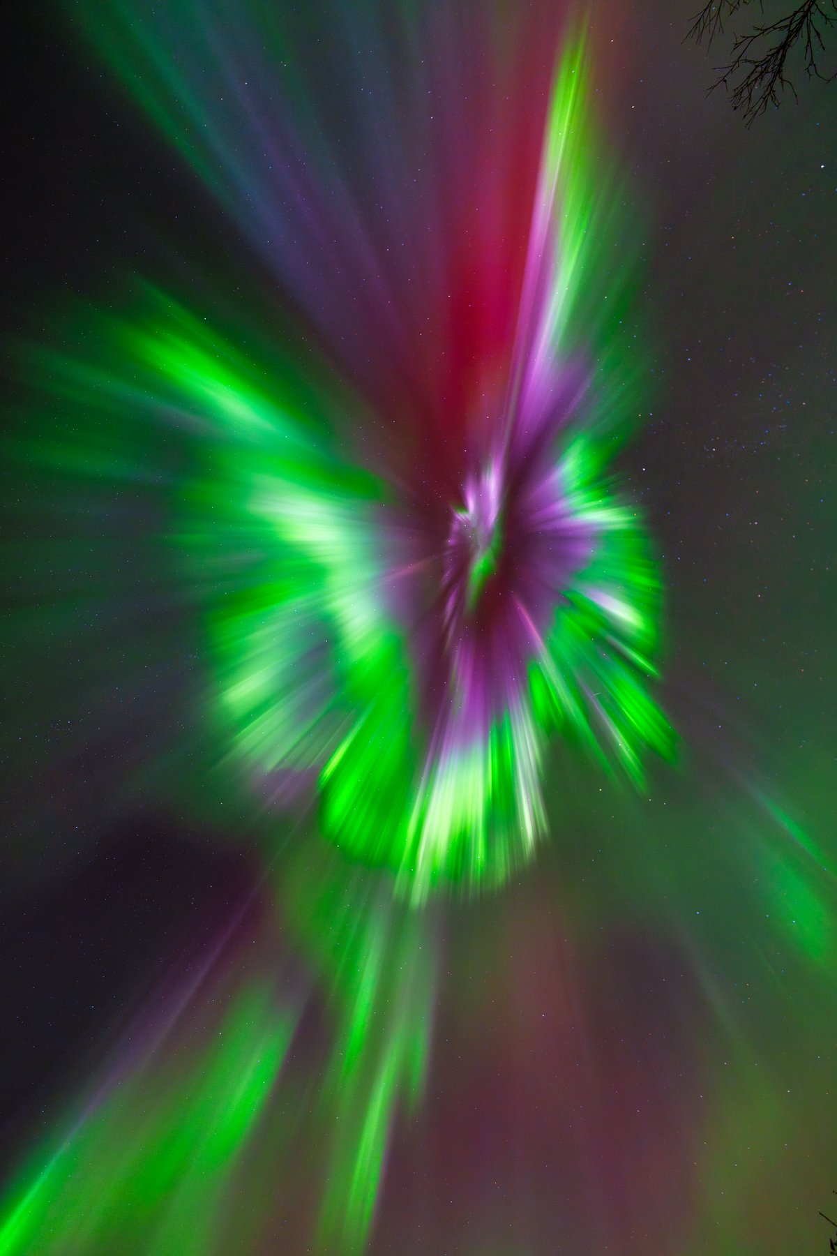 Auroral Crown โ Abisko