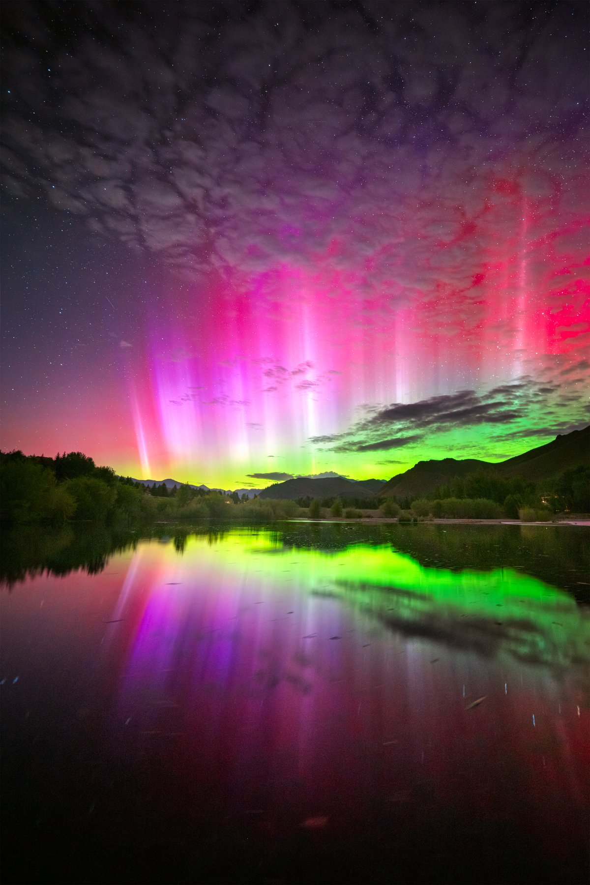 Auroral Reflections