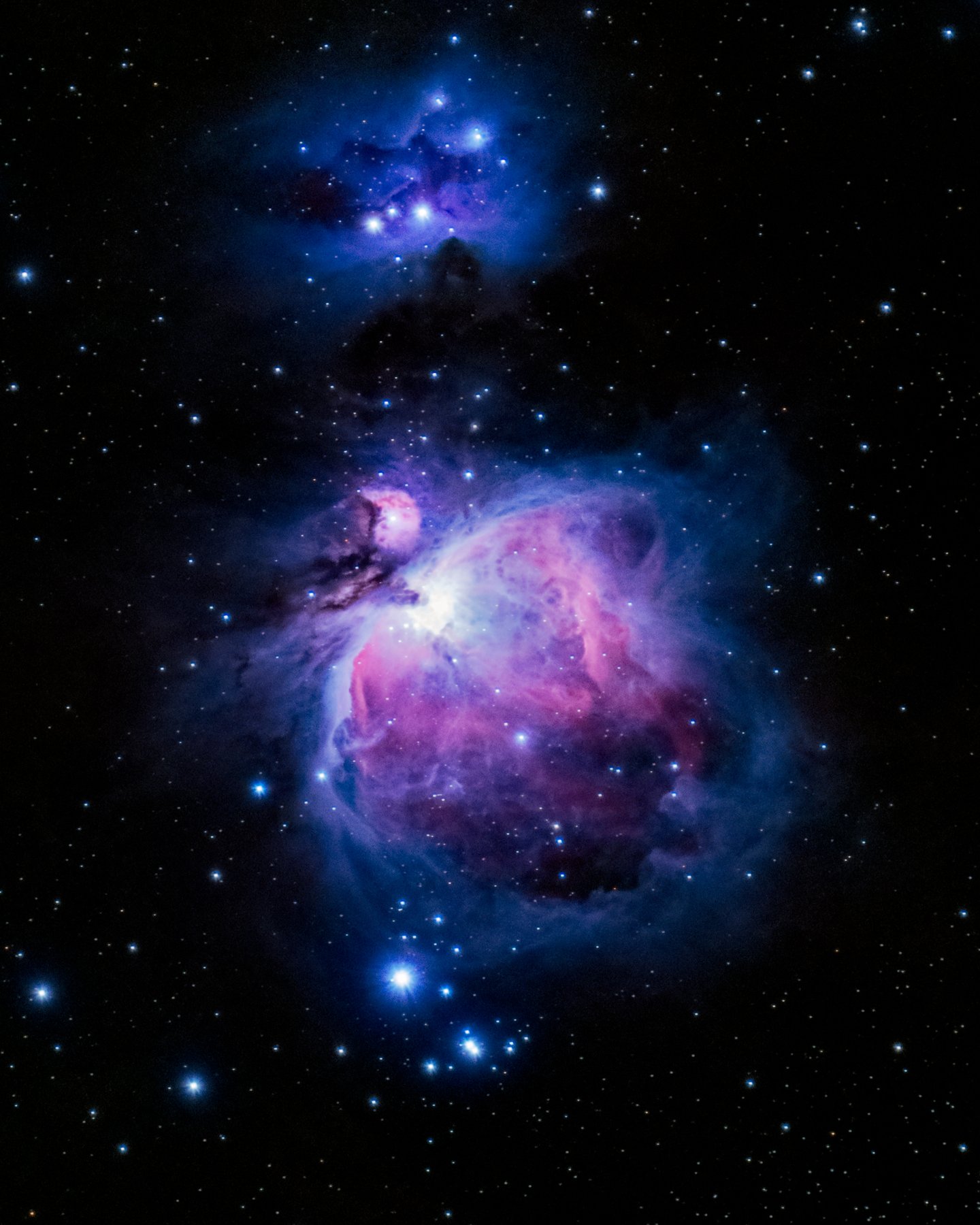 Orion Nebula